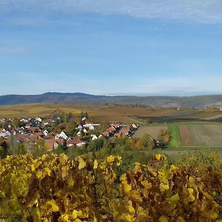 Le Repaire Des Hirondelles - Le Colombage بيت للعطل Scharrachbergheim-Irmstett
