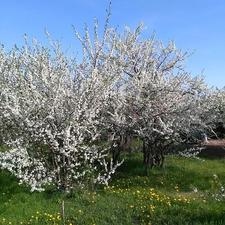 Casa de Férias Le Repaire Des Hirondelles - Le Colombage *